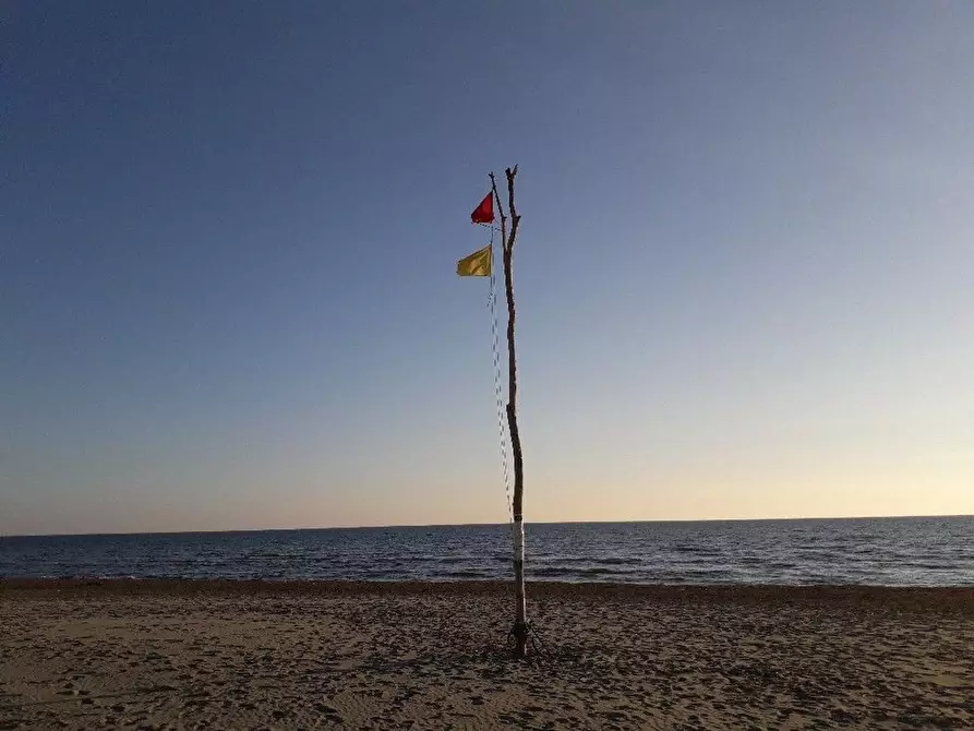 Immagine 11 di Villa in vendita  a Camaiore