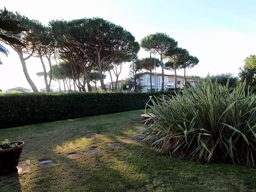 Immagine 9 di Villa in vendita  a Pietrasanta