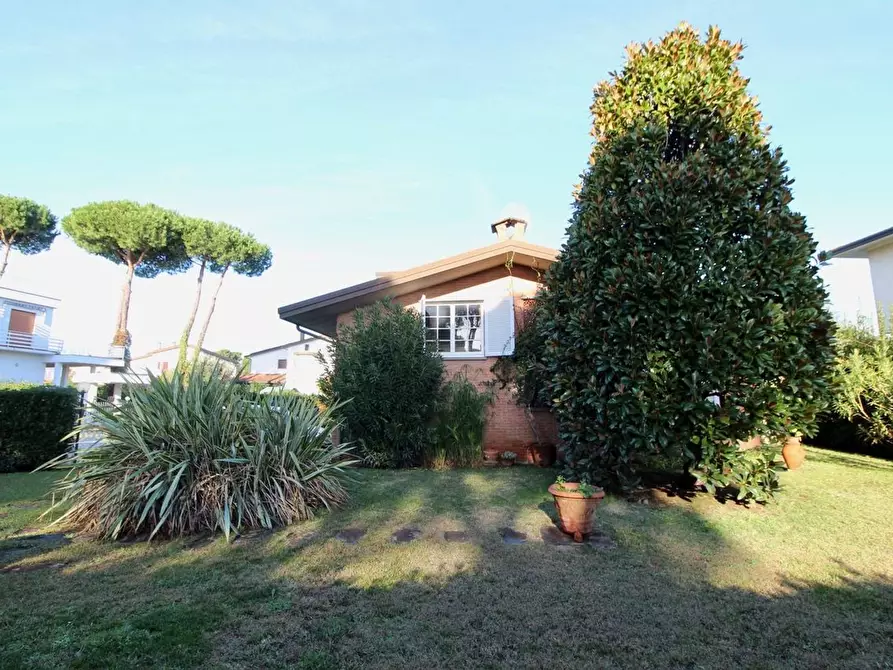 Immagine 5 di Villa in vendita  a Pietrasanta