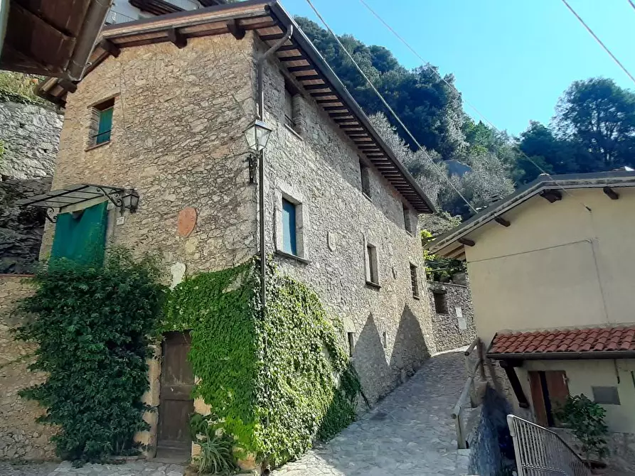 Immagine 1 di Casa indipendente in vendita  a Camaiore