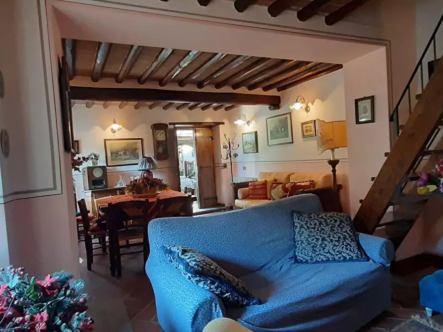 Immagine 15 di Casa indipendente in vendita  a Camaiore