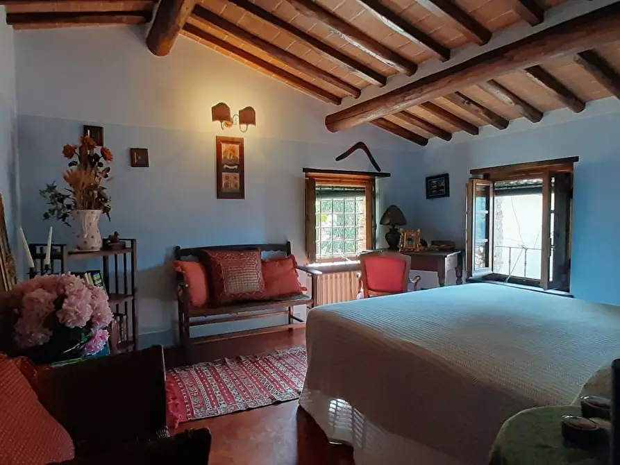 Immagine 26 di Casa indipendente in vendita  a Camaiore