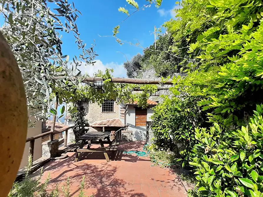 Immagine 73 di Casa indipendente in vendita  a Camaiore