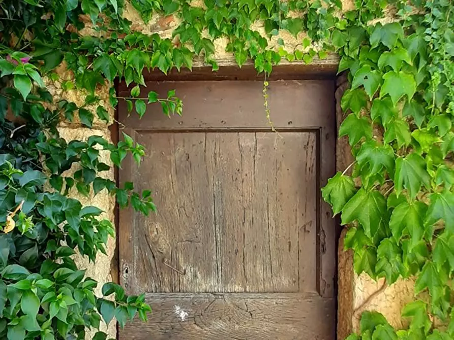 Immagine 34 di Casa indipendente in vendita  a Camaiore
