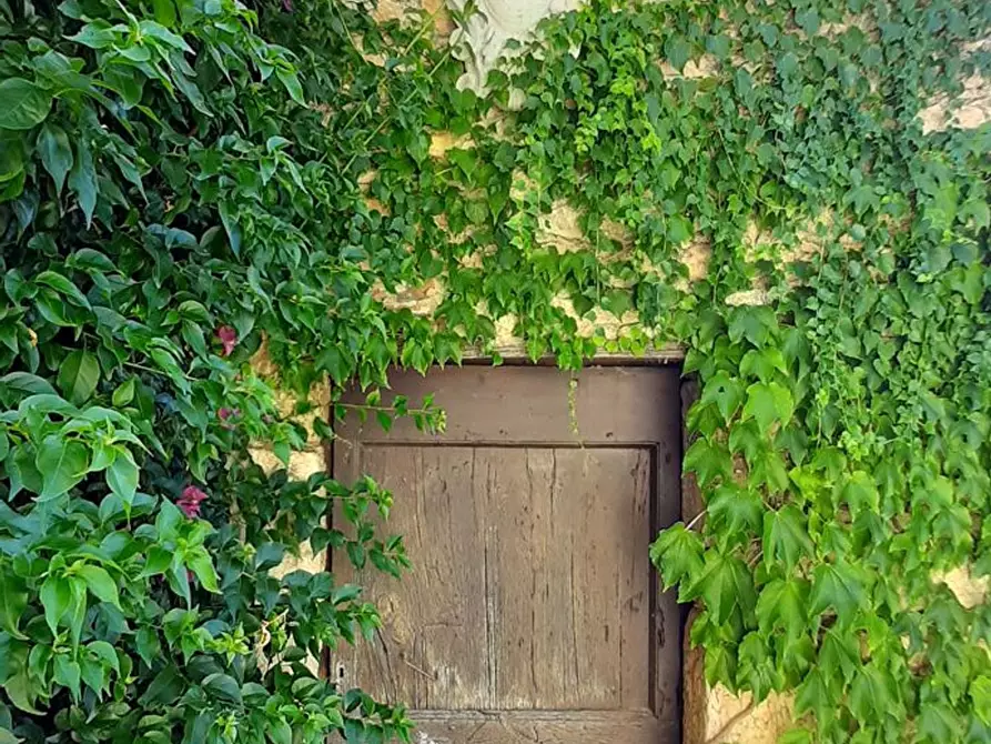 Immagine 7 di Casa indipendente in vendita  a Camaiore