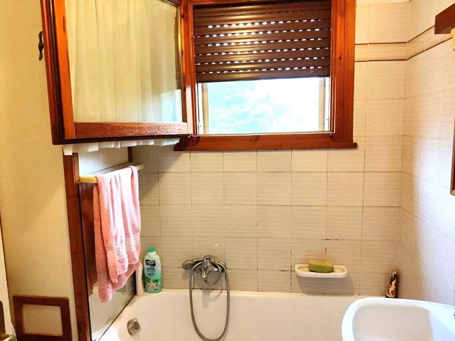 Immagine 4 di Appartamento in vendita  a Camaiore