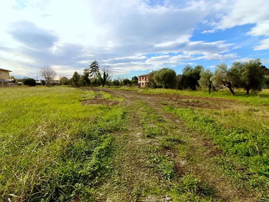 Immagine 17 di Villa in vendita  a Camaiore