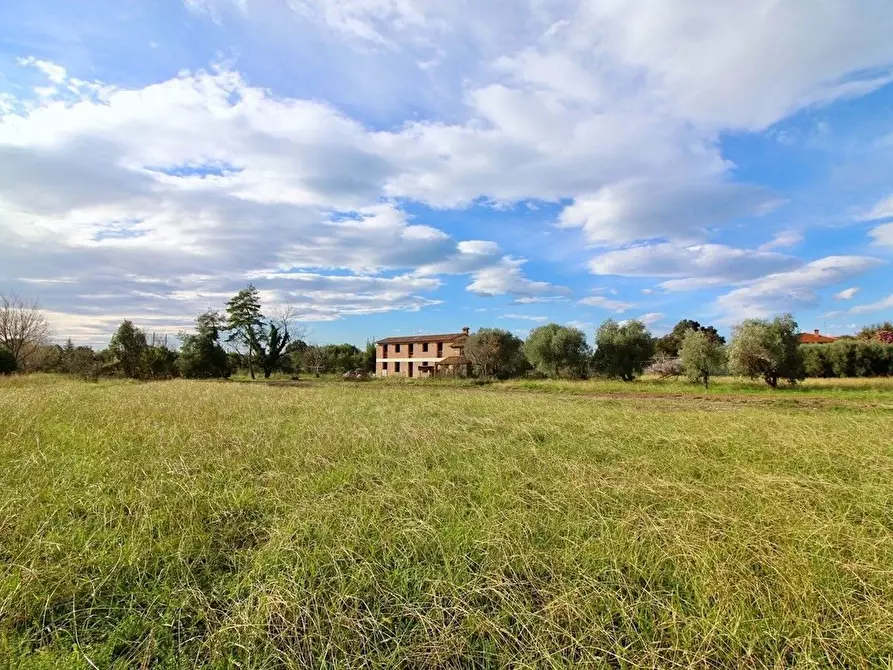 Immagine 19 di Villa in vendita  a Camaiore