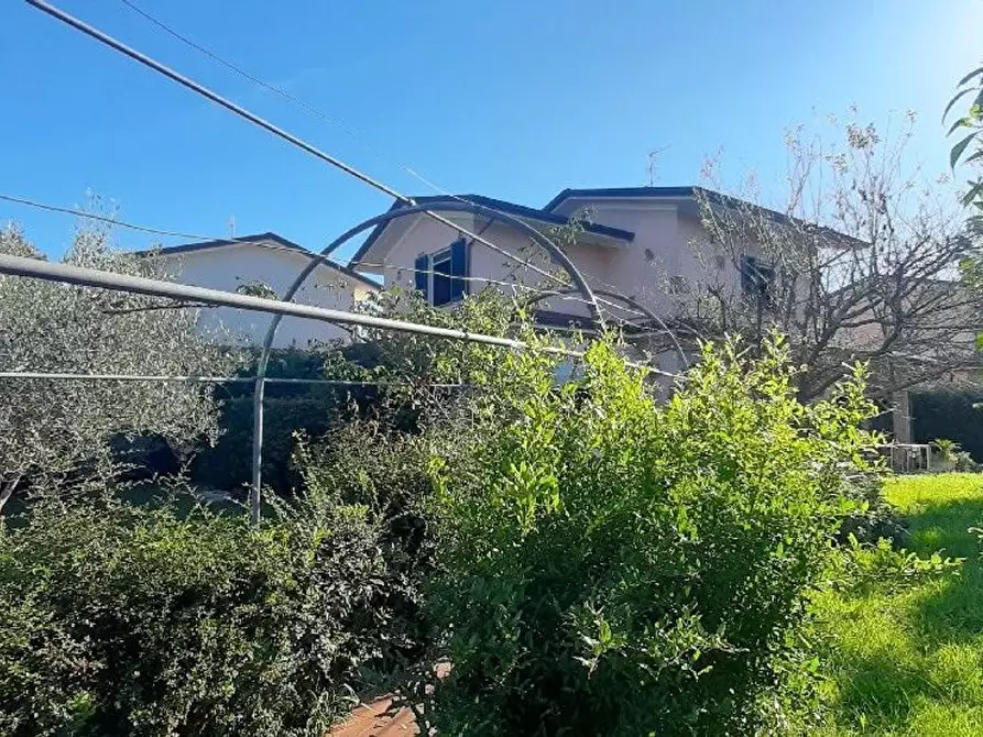 Immagine 20 di Villa in vendita  a Camaiore