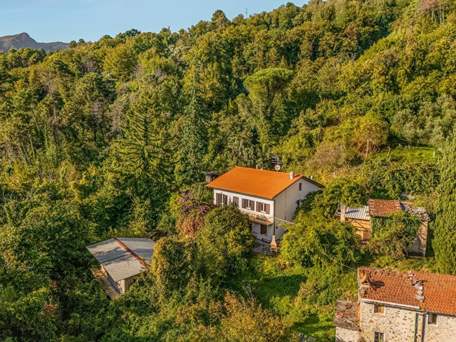 Immagine 2 di Villa in vendita  a Seravezza