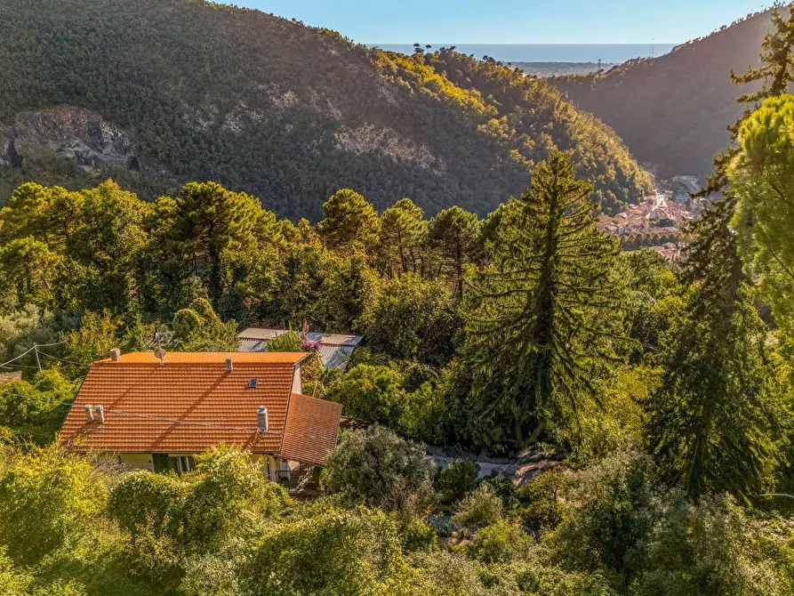 Immagine 3 di Villa in vendita  a Seravezza