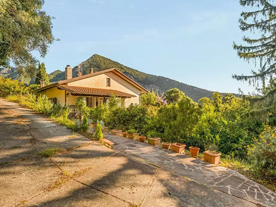 Immagine 8 di Villa in vendita  a Seravezza