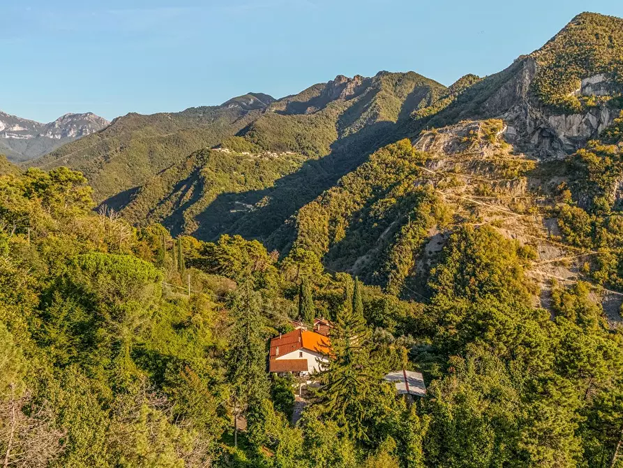 Immagine 31 di Villa in vendita  a Seravezza