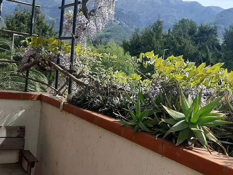 Immagine 6 di Casa semindipendente in vendita  a Camaiore