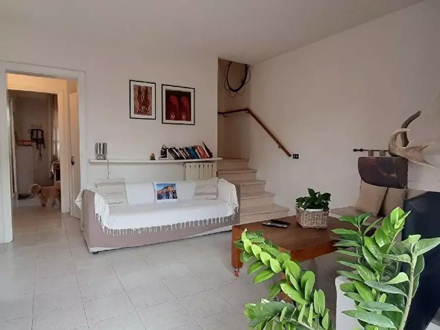 Immagine 21 di Casa semindipendente in vendita  a Camaiore