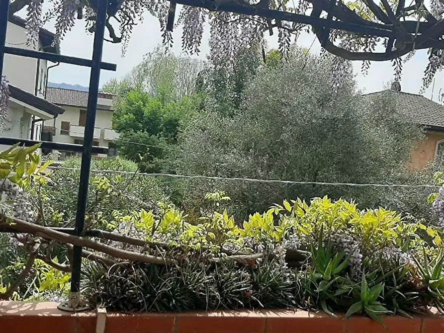 Immagine 4 di Casa semindipendente in vendita  a Camaiore