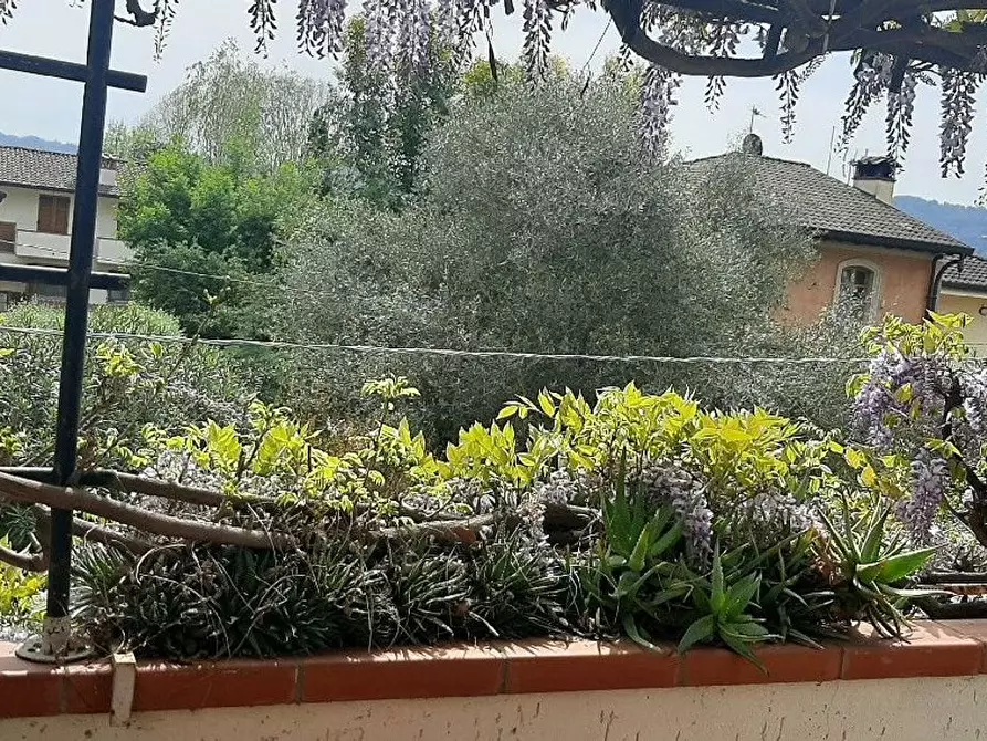 Immagine 5 di Casa semindipendente in vendita  a Camaiore