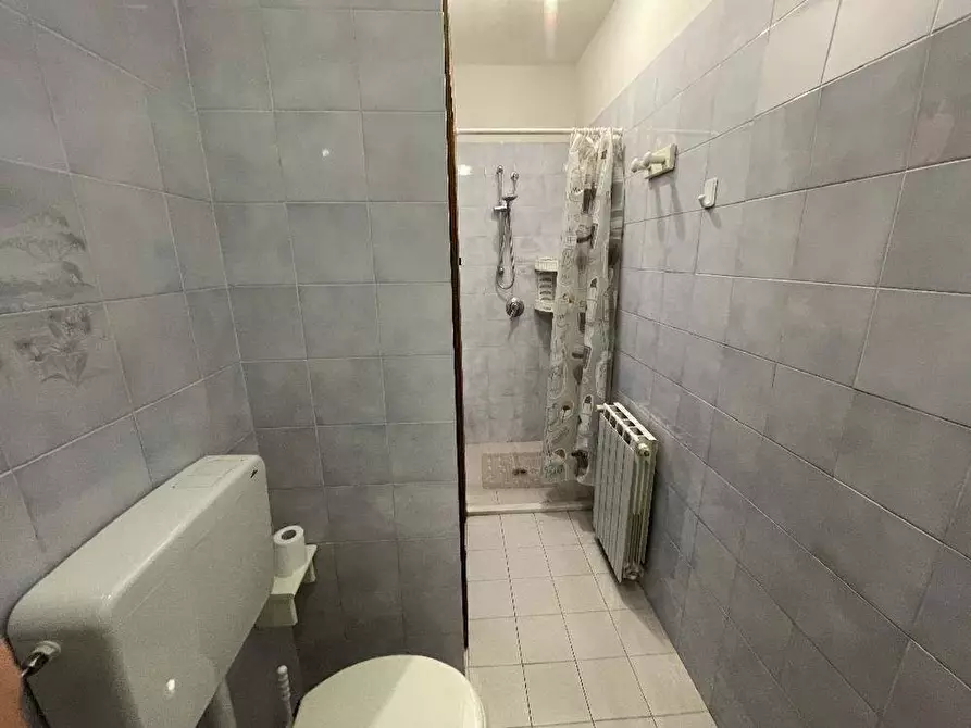 Immagine 18 di Appartamento in vendita  a Camaiore