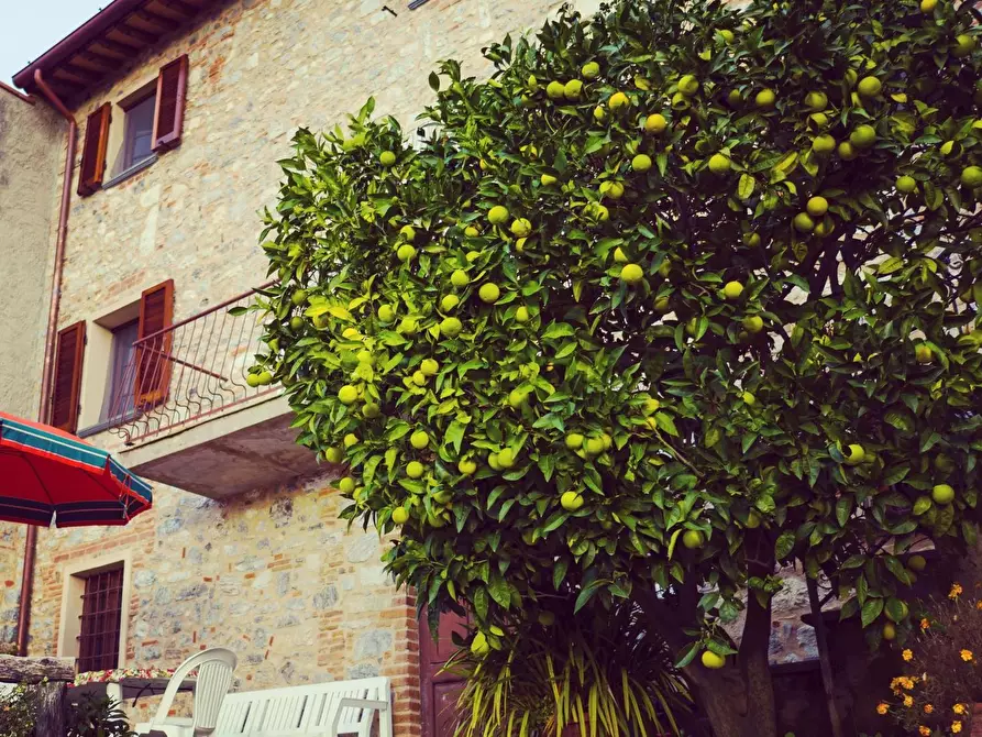 Immagine 1 di Casa semindipendente in vendita  a Camaiore