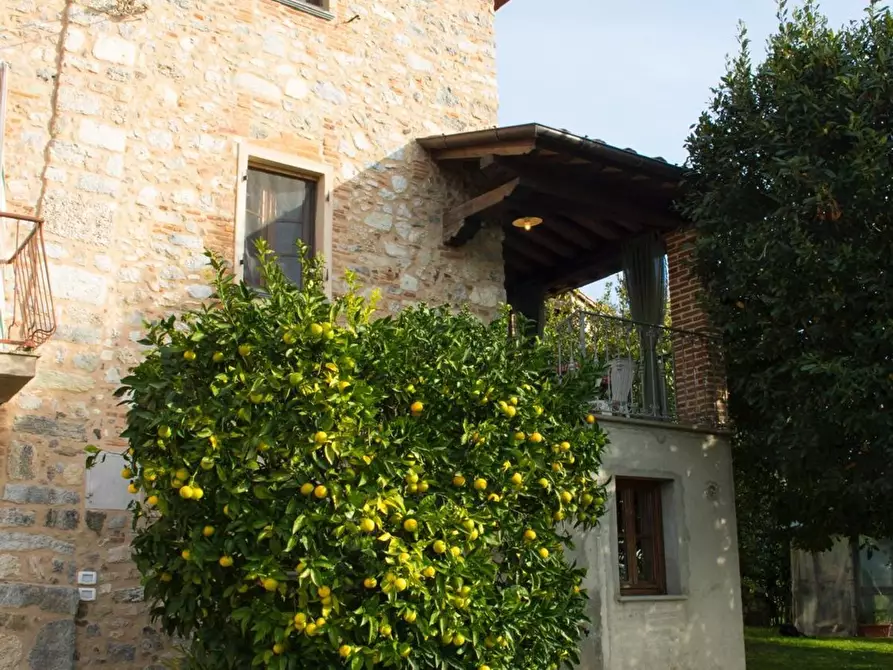 Immagine 2 di Casa semindipendente in vendita  a Camaiore