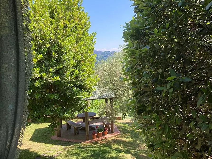 Immagine 36 di Casa semindipendente in vendita  a Camaiore