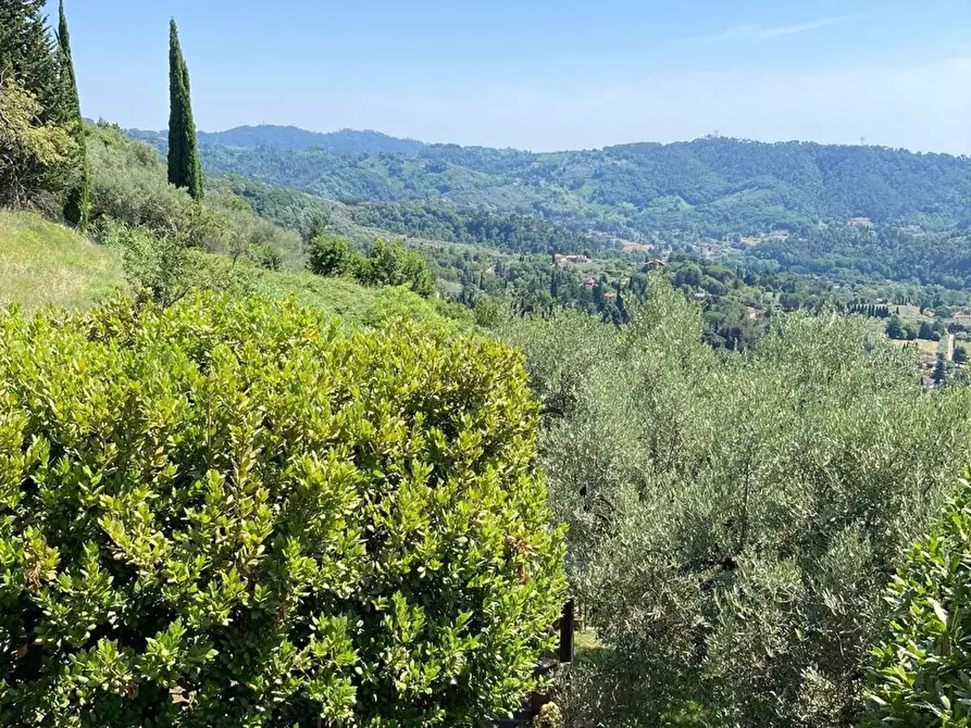 Immagine 22 di Casa semindipendente in vendita  a Camaiore