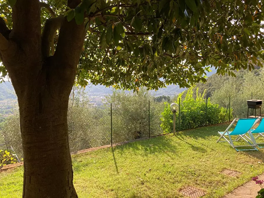 Immagine 25 di Casa semindipendente in vendita  a Camaiore