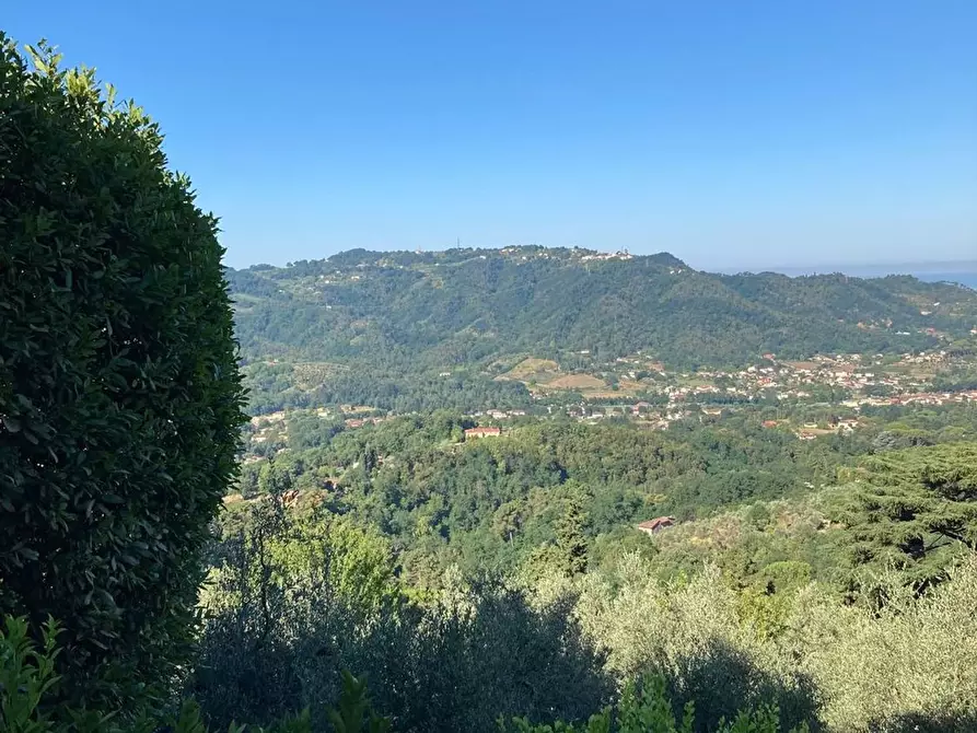 Immagine 10 di Casa semindipendente in vendita  a Camaiore