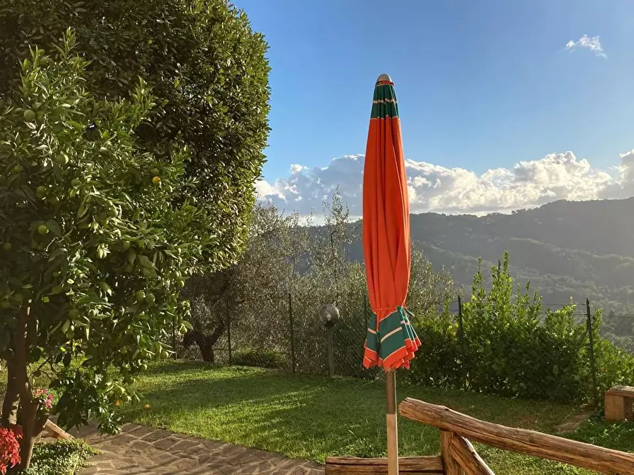 Immagine 29 di Casa semindipendente in vendita  a Camaiore