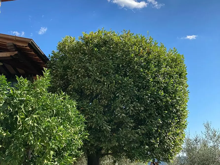 Immagine 28 di Casa semindipendente in vendita  a Camaiore