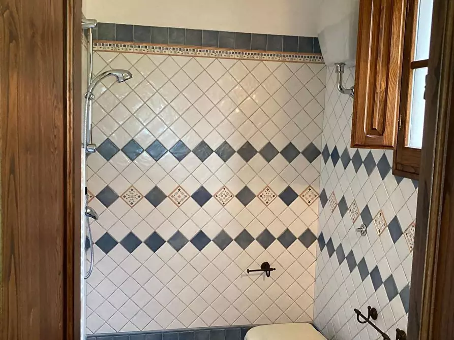 Immagine 31 di Casa semindipendente in vendita  a Camaiore