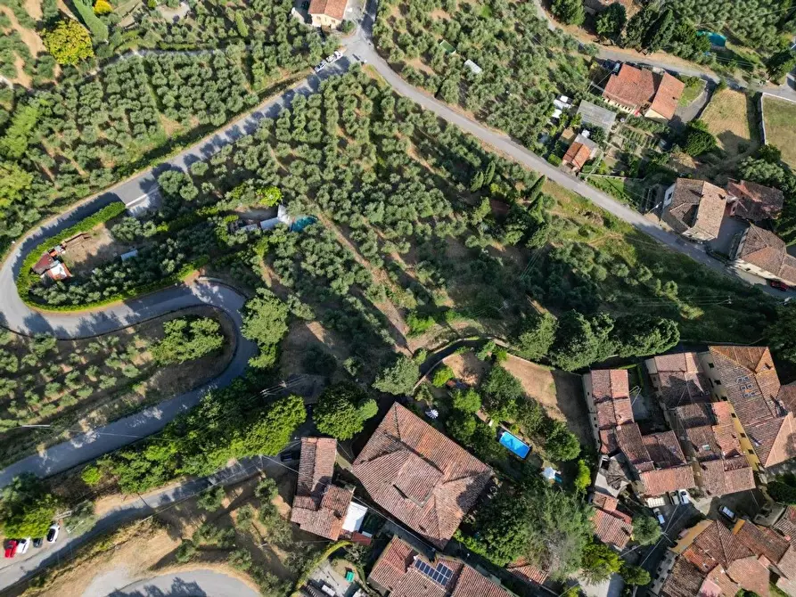 Immagine 52 di Villa in vendita  a Capannori