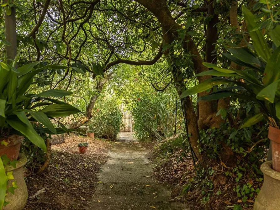 Immagine 45 di Villa in vendita  a Capannori