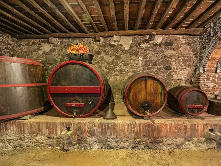 Immagine 5 di Villa in vendita  a Capannori