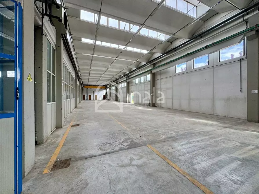 Immagine 7 di Capannone industriale in affitto  a Porcari