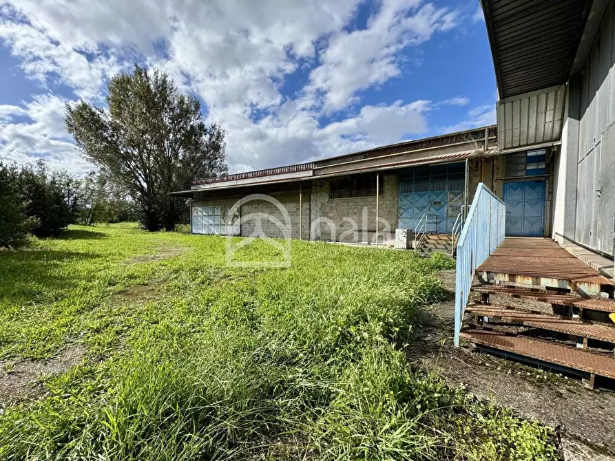 Immagine 15 di Capannone industriale in affitto  a Porcari