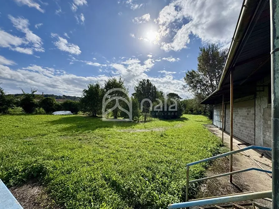 Immagine 19 di Capannone industriale in affitto  a Porcari