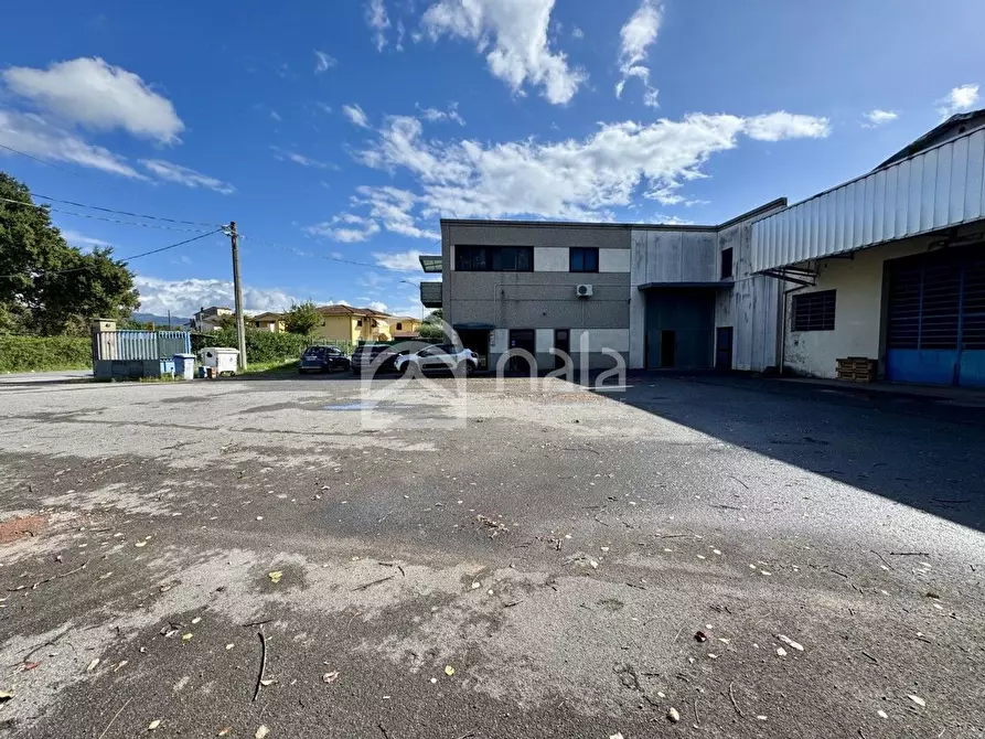Immagine 4 di Capannone industriale in affitto  a Porcari