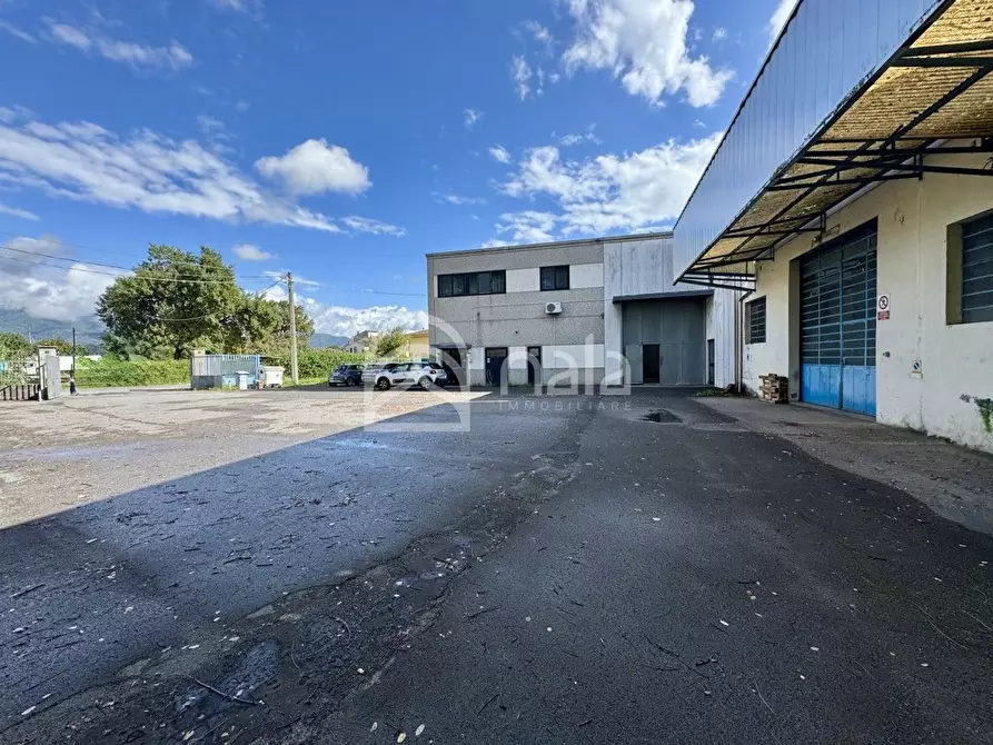 Immagine 1 di Capannone industriale in affitto  a Porcari