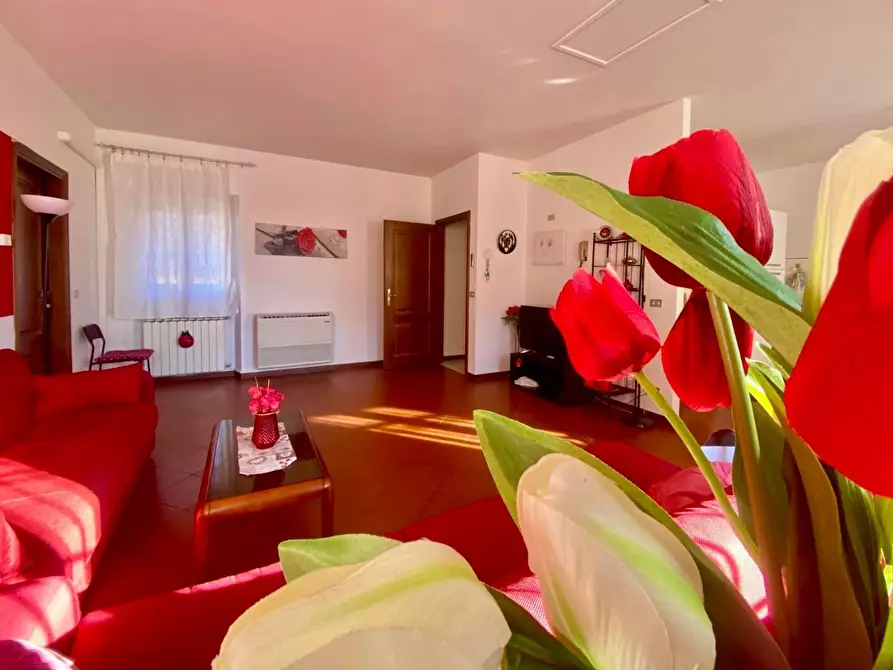 Immagine 1 di Appartamento in affitto  a Lucca