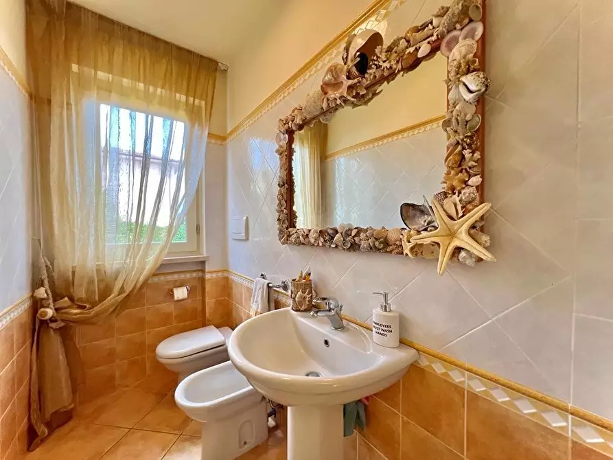 Immagine 9 di Casa bifamiliare in affitto  a Camaiore