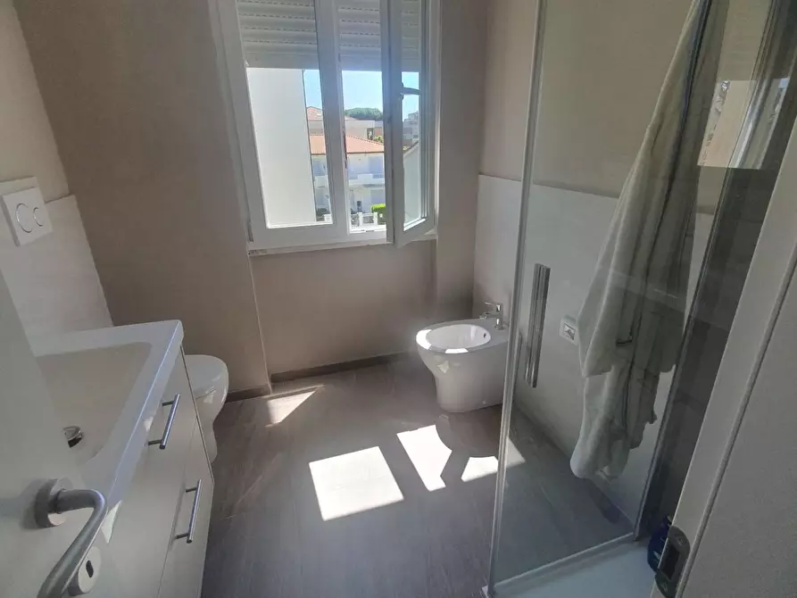 Immagine 12 di Appartamento in affitto  a Camaiore