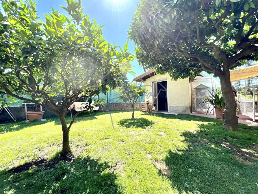 Immagine 1 di Casa semindipendente in vendita  a Massa