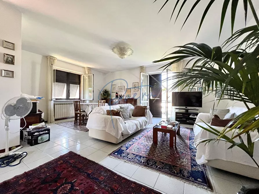 Immagine 2 di Casa semindipendente in vendita  a Massa