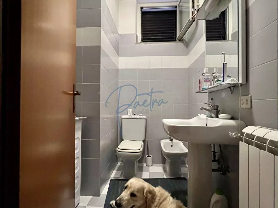 Immagine 13 di Casa semindipendente in vendita  a Massa