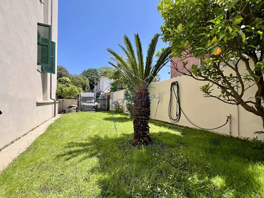 Immagine 9 di Appartamento in affitto  a Massa