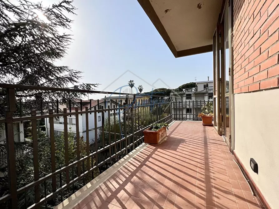 Immagine 23 di Appartamento in affitto  a Massa