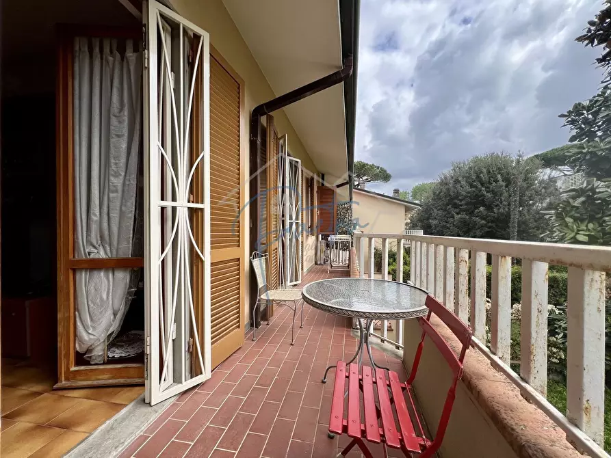 Immagine 2 di Appartamento in affitto  a Massa