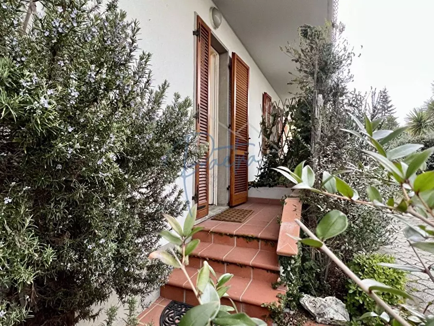 Immagine 34 di Appartamento in affitto  a Massa