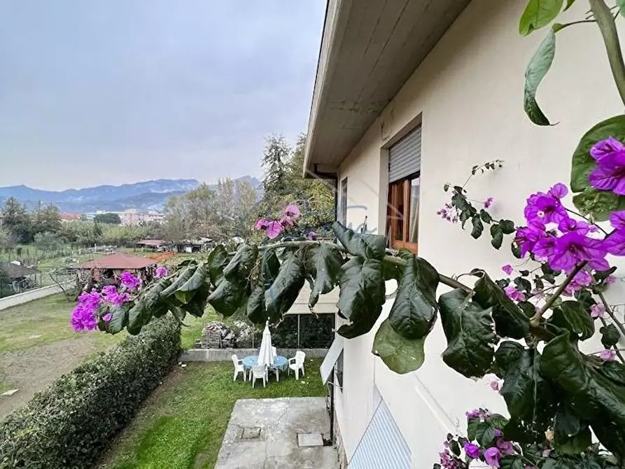 Immagine 25 di Appartamento in vendita  a Massa